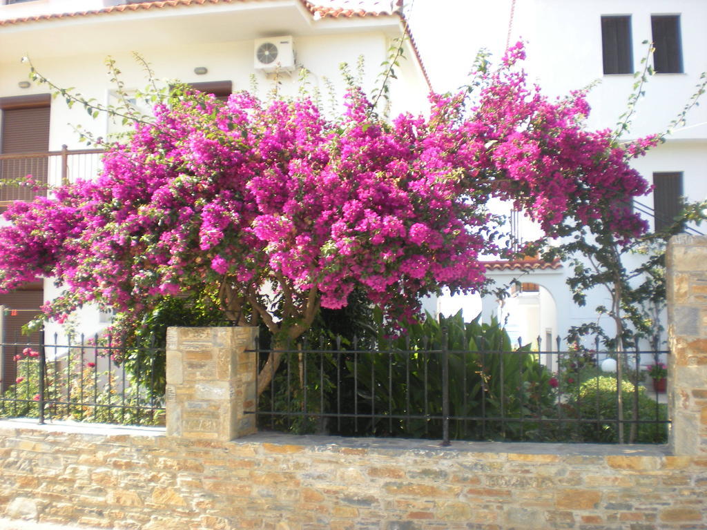Apartment Antonios Skopelos Town